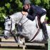 Brownland Farm Fall Shows